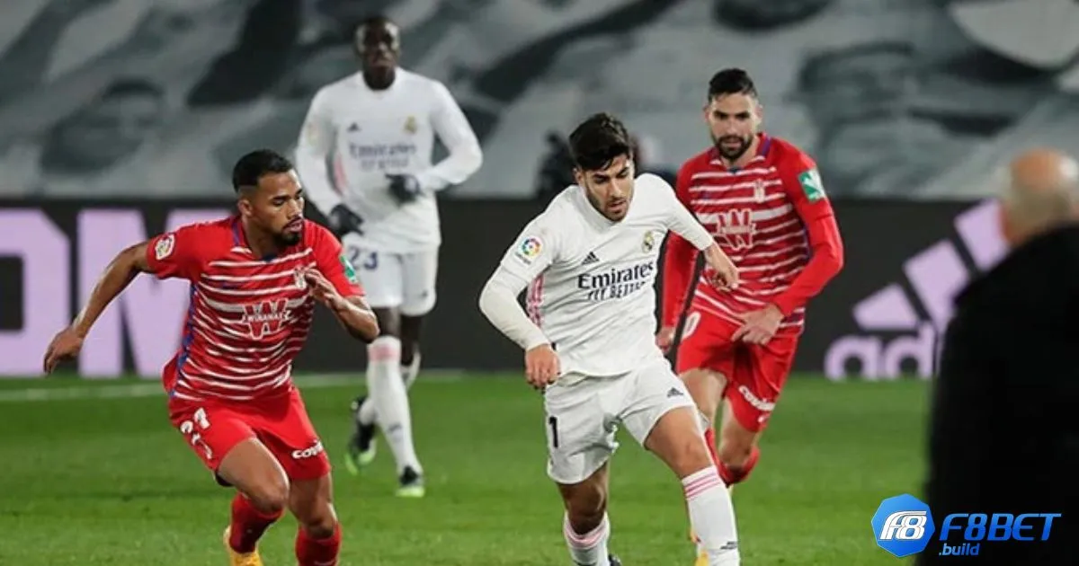 F8Bet Soi Kèo La Liga - Phân Tích Và Dự Đoán Kết Quả 3 F8Bet Soi Kèo La Liga - Kèo châu Á – Khi nào nên chọn cửa trên hoặc cửa dưới?